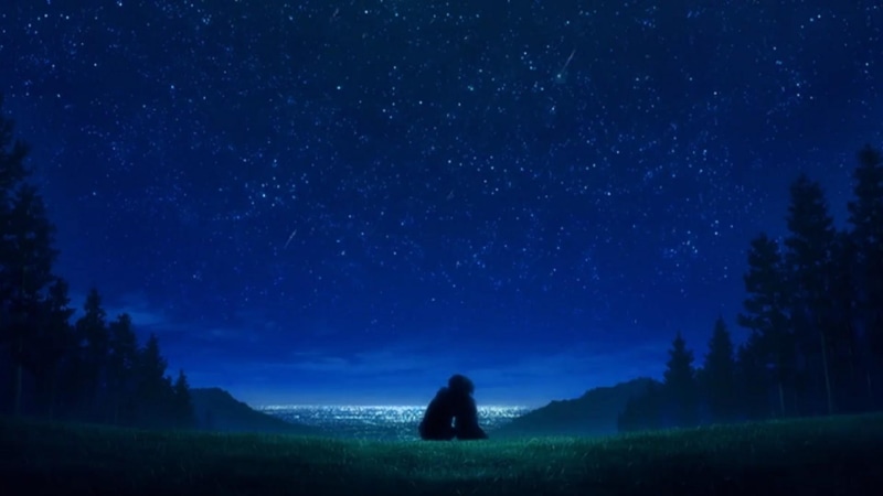 star - space, galaxy, night sky, nature, scenics - nature, starry, anime art, tranquility, space, stars, plant, field, land, night, landscape, dark, beauty in nature