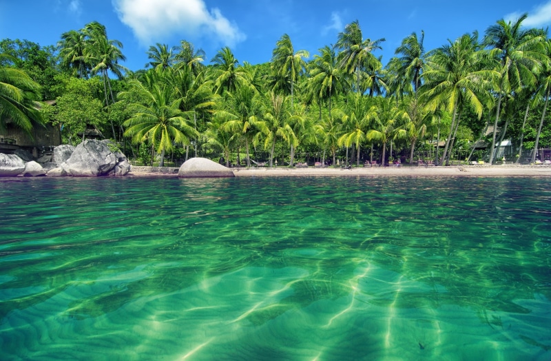 outdoors, day, tranquility, nature, tree, no people, sea, plant, palm tree, green color, green, land, coconut, beach, tropical climate, water, tranquil scene