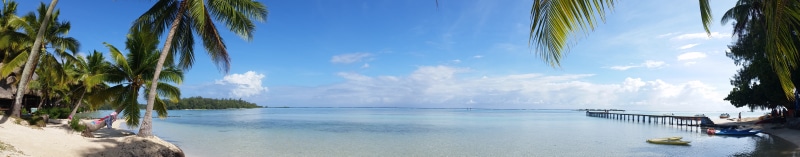 sand, seascape, day, tropical climate, scenics - nature, ocean, coconut palm tree, island, trees, palm trees, tranquility, cloud - sky, no people, clouds