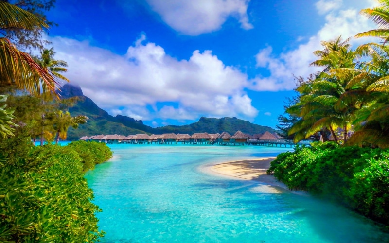 landscape, tropical, tranquility, palm trees, resort, no people, tranquil scene, land, wooden, French Polynesia, tree, scenics - nature, 1080P, Bora Bora