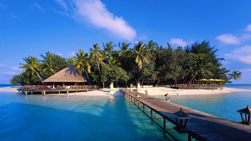 wealth, tourist resort, tree, cloud - sky, travel destinations, outdoors, palm tree, palm trees, swimming pool, landscape, Maldives, pool, wooden, no people
