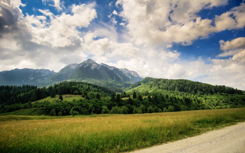outdoors, 4K, sky, mountain, landscape, nature, green, meadow, rural Scene, forest, cloud - Sky, background, summer, grassfield, tree, green Color, grass