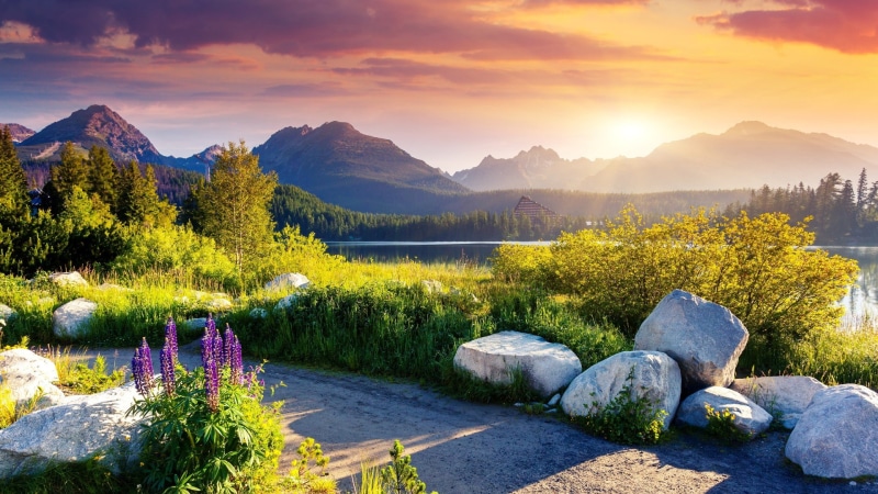 high tatras national park, 1080P, tree, tatra national park, tatra, tatras national park, lake, landscape, high tatra, mountain, slovakia, national park