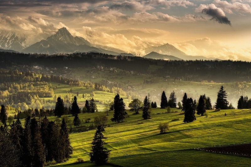 field, green color, nature, environment, forest, idyllic, non-urban scene, no people, grass, mountain, snowy peak, village, tree, growth, scenics - nature