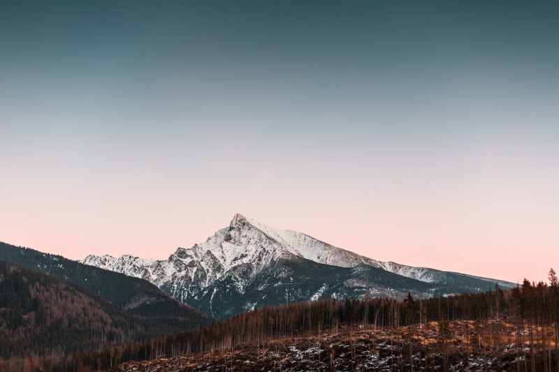 slovakia, evening, snowy, cold temperature, cold, europe, dawn, morning, high tatras, environment, sky, tree, non-urban scene, sunset, forest, winter, sundown