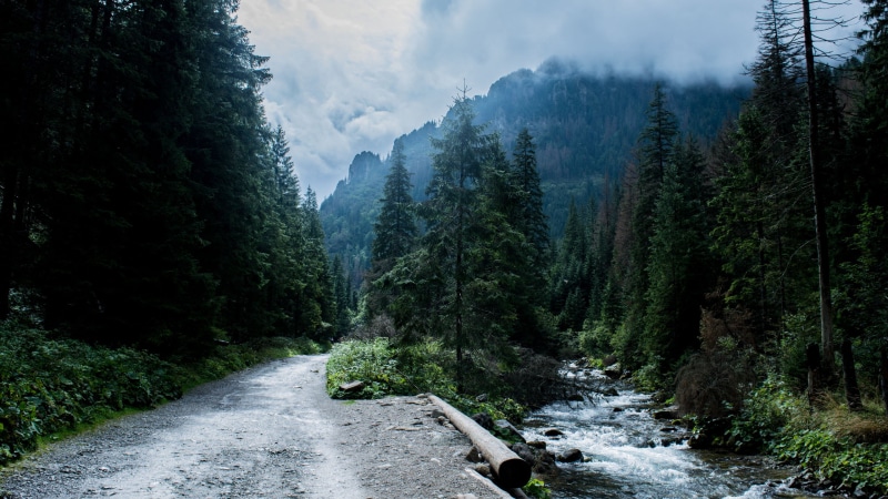 2K, beauty in nature, cloud - sky, sky, scenics - nature, Tatra Mountains, land, plant, day, flowing, the way forward, flowing water, tranquility, non-urban scene