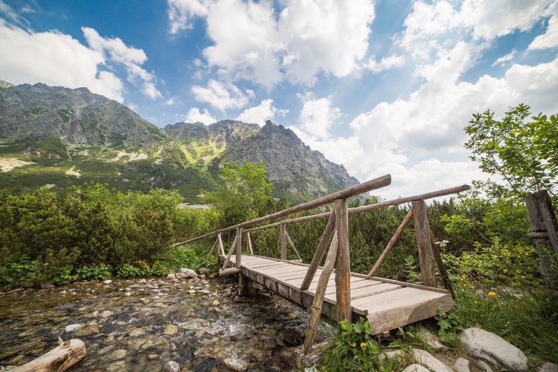 high, scenics - nature, summer, footpath, hiking, beauty in nature, footbridge, landscape, sky, mountain, river, nature, wooden, mountain range, land, plant