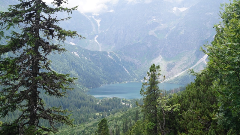 nature, plant, non-urban scene, scenics - nature, tree, Poland, lake, water, Tatra, land, coniferous tree, remote, environment, day, photo, no people, forest
