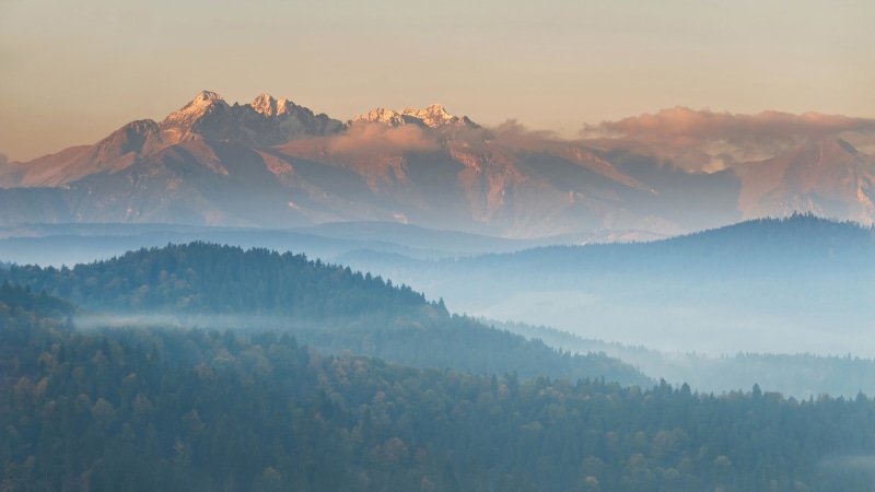 tree, dawn, sunset, forest, cloud - Sky, mountain Range, 4K, land, woodland, blue, sunlight, scenics, trees, sun, sunrise - Dawn, backgrounds, summer