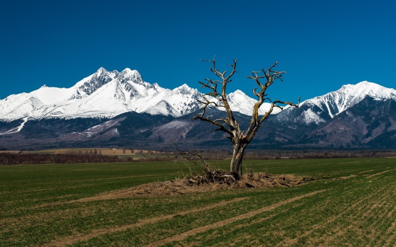 Tatra Mountains, mountain, formation, tranquility, field, snowcapped mountain, sky, plant, winter, scenics - nature, forest, cold temperature, beauty in nature
