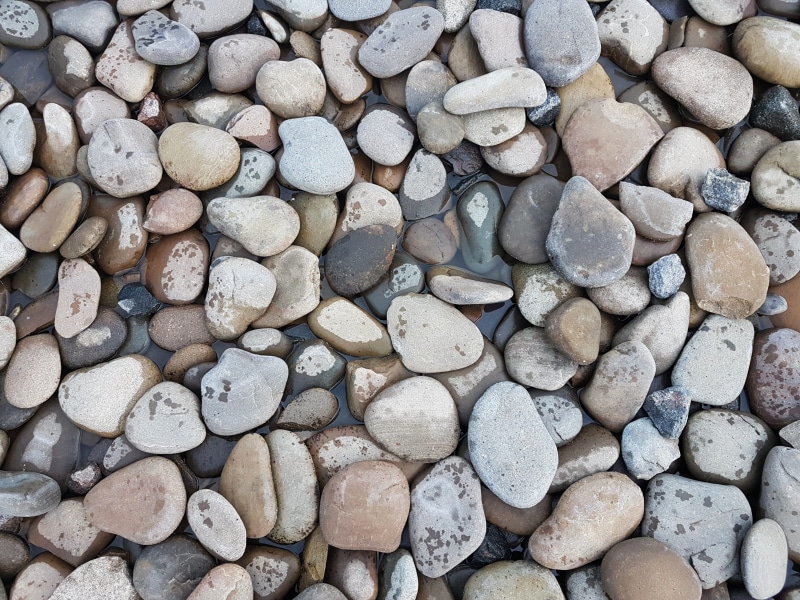 plant, circle, mountains, nature, round, high angle view, construction, gray, rock, pattern, stone - object, paving, seamless, day, rough, trees, material