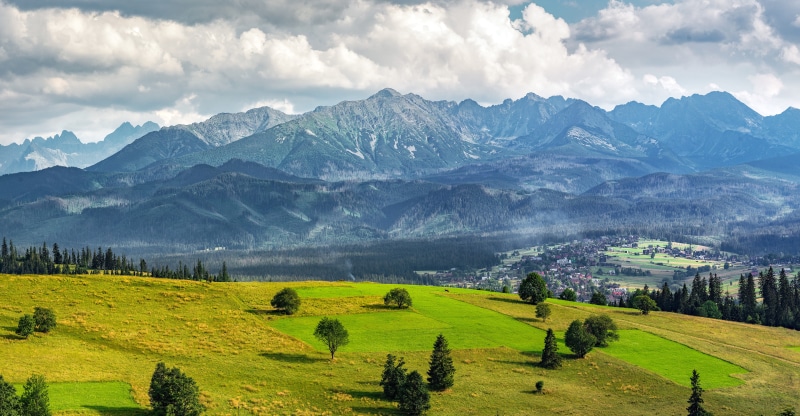 forest, hill, clouds, zakopane, panorama, scenic, background, sky, plant, valley, landscape, nature, national park, path, 8K, environment, height, land
