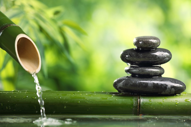 purity, spa Treatment, health Spa, nature, drop, black, plant, stones, beauty, backgrounds, green Color, calm, day, flowing water, freshness, stems, solid
