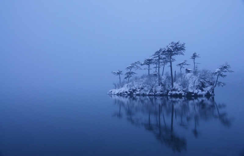 tranquility, morning, no people, plant, beauty in nature, lake, water, trees, tranquil scene, landscape, snow, fog, outdoors, winter, tree, copy space
