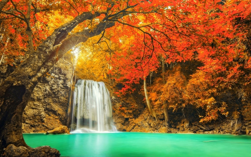 red, power in nature, surrounded, scenics - nature, waterfall, Thailand, outdoors, no people, idyllic, beauty in nature, change, plant part, yellow, land