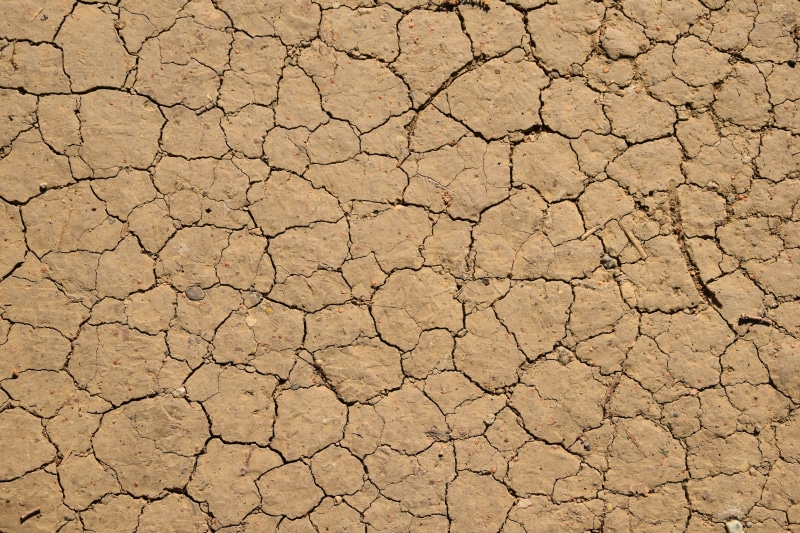 arid climate, soil, surface, dry, day, no people, drought, dirt, environmental issues, outdoors, barren, scenics - nature, ground, high angle view, earth