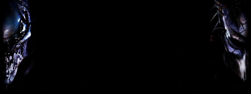 studio shot, stage - performance space, performance, people, human body part, women, indoors, midsection, front view, black color, stage, close-up, copy space