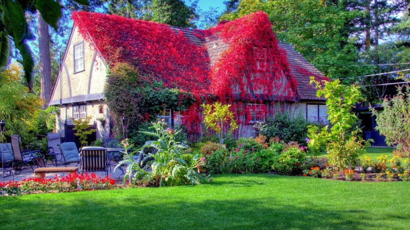 church, built structure, structure, park, flowering plant, sky, green color, tree, wood, landscape, estate, trees, architecture, old, flower, roof, tourism
