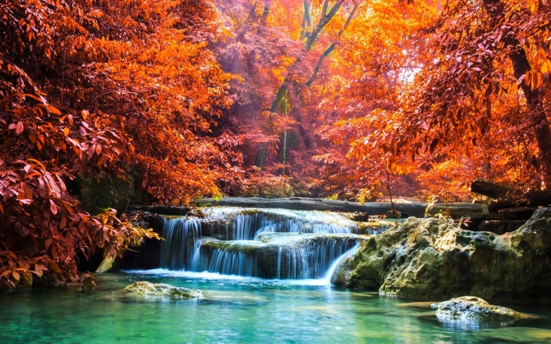 trees, forest, nature, river, sun, landscape, sun rays, fall, thailand, colorful, waterfall, 1080P, rays