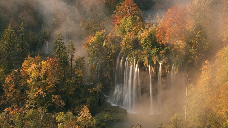 travel, waterfalls, trees, non-urban scene, beauty in nature, landscape, plant, change, tree, 1080P, painting, environment, travel destinations, autumn collection