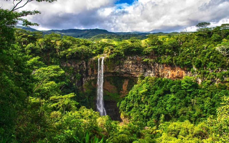 nature, forest, jungle, 1080P, waterfall, hd