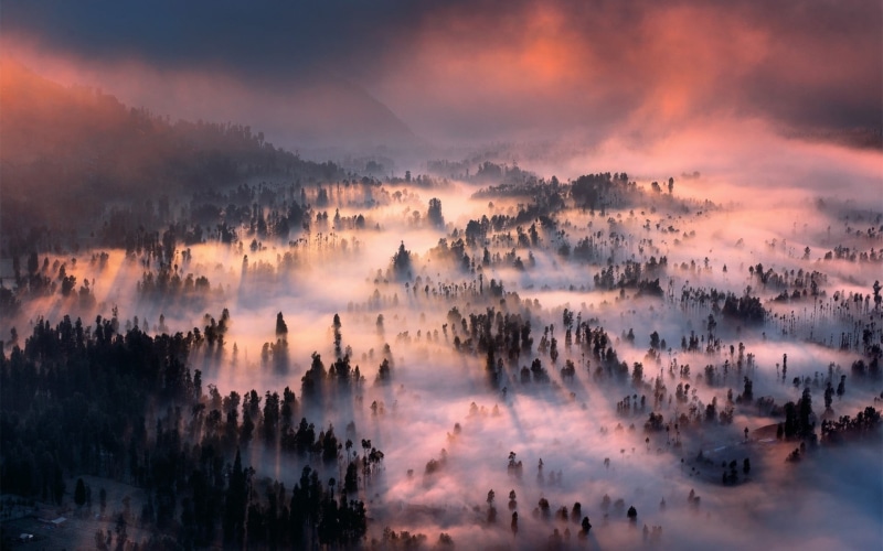 cloudscape, no people, mist, sun, cloud - Sky, leafed, land, weather, outdoors, forest, tranquil scene, clouds, eye, yellow, nature, autumn, sunrise - Dawn