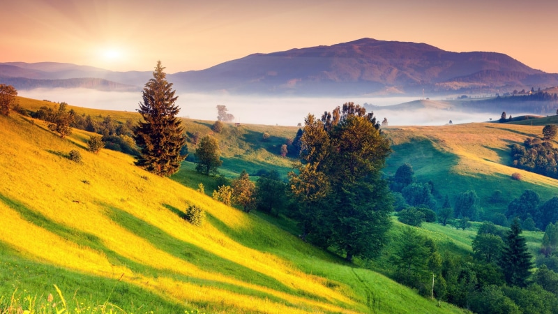ukraine, pasture, dawn, highland, nature, field, meadow, carpathians, europe, hill, morning, sunlight, carpathian, grassland, sky, rural area, transcarpathia