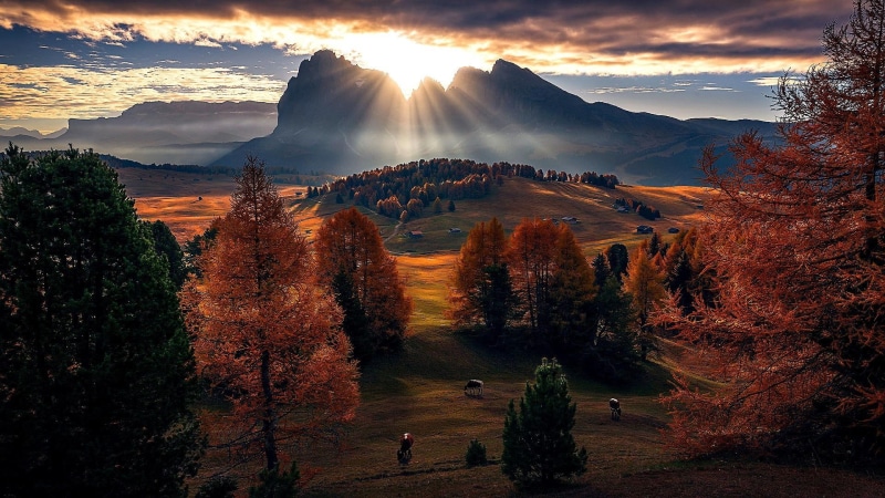 sun rays, morning, mountain village, tree, bolzano, sunbeam, cloud, alpe di siusi, nature, dawn, mountain, autumn, dolomites, dolomite mountains, 1080P