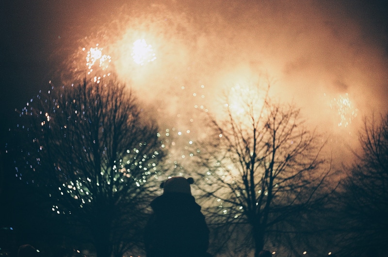 plant, long, colorful, holiday, space, vertical, independence, collage, pink, rear view, winter, kids, tree, sky, child, leisure, up, dark, kid, firework