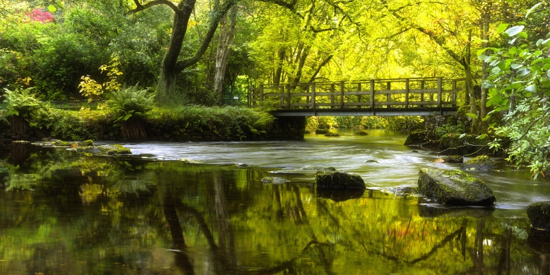 Trossachs, day, bridge, forest, river, tree, First, lake, time, Scotland, Landscape, Forth Bridge, Loch Ard, 5K, leaf, nature, River Forth, reflection