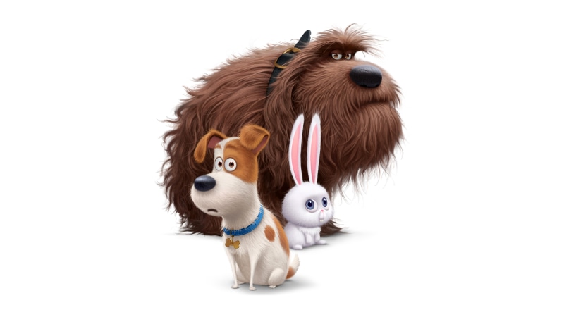 three, 8K, Animation, characters, Snowball, disney, The Secret Life Of Pets, Max, Duke, 8K