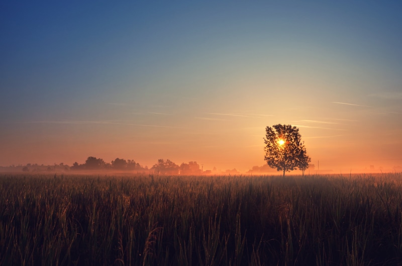 Hungary, shilouette, silhouette, nature, outdoors, rural Scene, DSLR, 2K, blue  orange, Sunrise, morning, sun  light, photography, summer, sky, dusk, sunlight