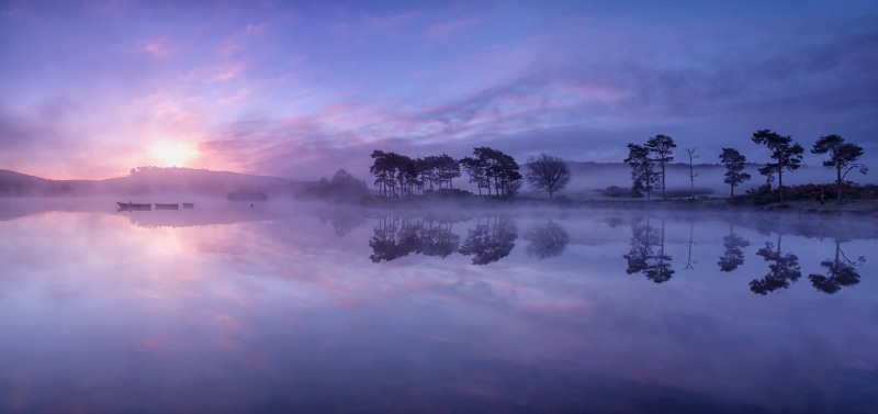 water, 8K, golden, Loch, Scotland, tree, golden hour, sky, Knapp  lake, Dawn, sunset, Renfrewshire, reflection, near, hour, Landscape, lake, trees, nature