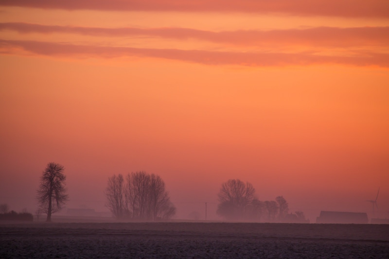 tree, sky, mist, Söderslätt, landscape, sunrise - Dawn, dawn, Sunrise, golden hour, scenics, winter, silhouette, orange, trees, orange sky, season, outdoors