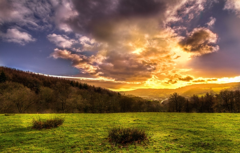 green grass, field, cloud - Sky, sunrise - Dawn, Cloud, bowl, canon, scenics, sky, silhouette, grass field, golden hour, Risca, nature, sunlight, rural Scene