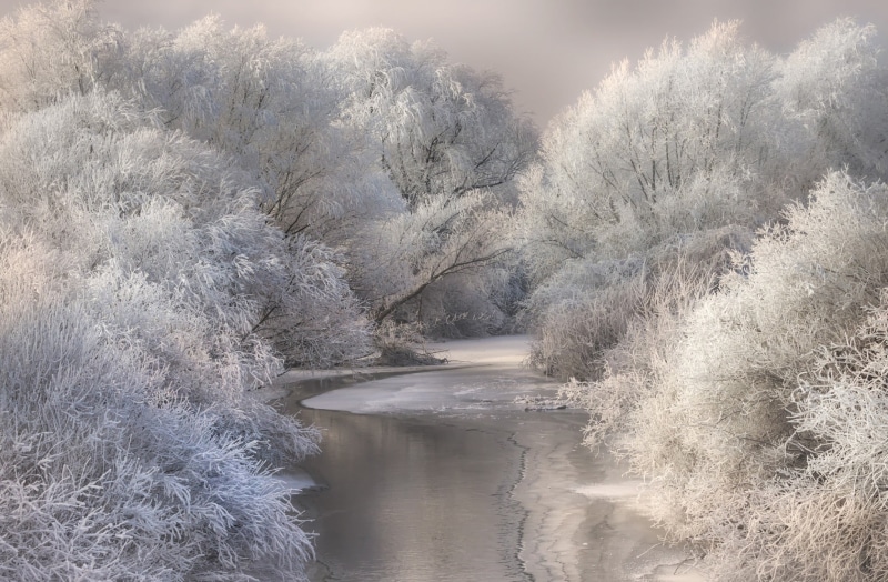 cold temperature, cold, outdoors, nature, flowing, scenics - nature, near, beauty in nature, landscape, trees, flowing water, tree, 1080P, power in nature