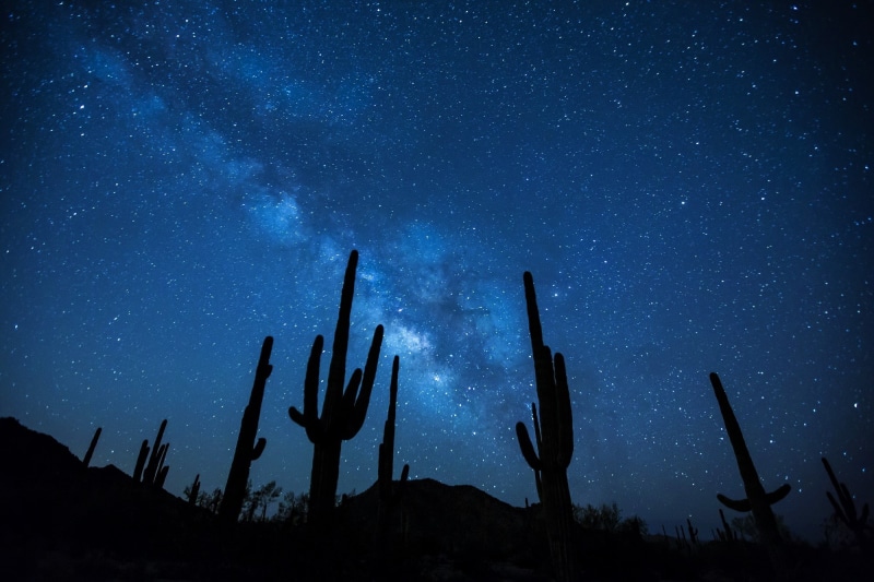 Silhouette, Cactus, Stars, Starry Sky, Night, Desert, Galaxy, Milky Way, Sky, 1080P, Earth