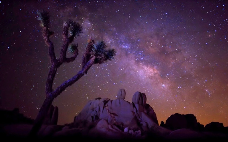 1080P, usa, sky, computer, phones, cactus, park, joshua, way, rock, hd, mobile, national, tree, star, laptops, area, california, milky, desert