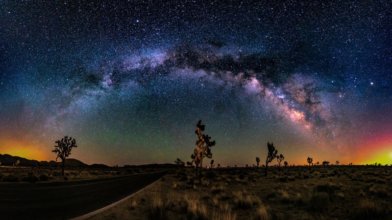 star, road, sky, 2K, cactus, desktop, desert, sunset