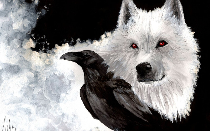 wolf, fantasy art, black, birds, animals, 1080P, fur, cat, white, short