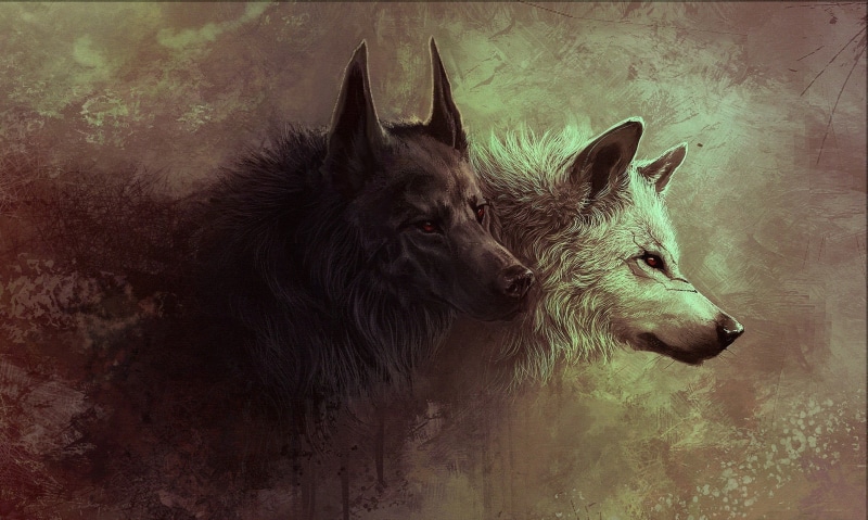fantasy art, mammal, domestic animals, donkey, outdoors, herbivorous, white, nature, black, animal, domestic, vertebrate, working animal, animal wildlife