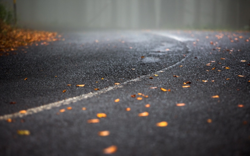fallen leaves, 2K, road, fall, street, asphalt