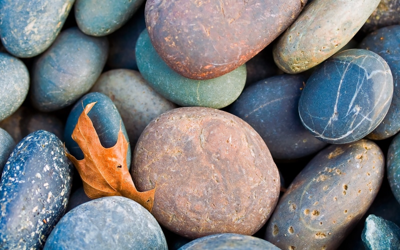fallen leaves, 2K, outdoors, stones, leaves