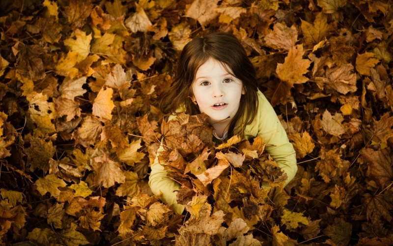 children, brunette, fallen leaves, little girl, top view, 2K