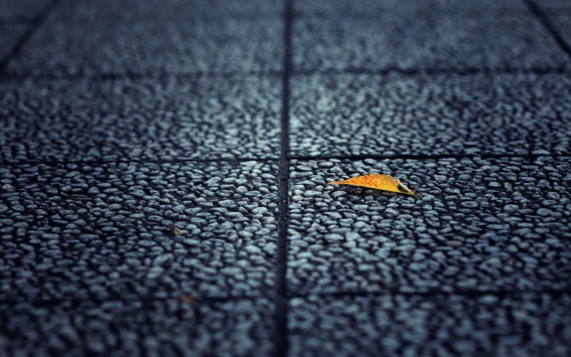 pavements, 2K, urban, blue, macro, fallen leaves