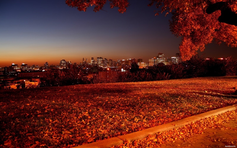 illuminated, beauty in nature, skyscraper, nature, no people, plant, city, fallen leaves, autumn, orange color, tree, city lights, building exterior, outdoors