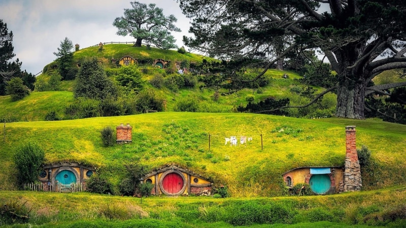 landscape, growth, sky, tranquil scene, plant, matamata, land, nature, architecture, green color, village, green hills, no people, hobbit hole, field, grass