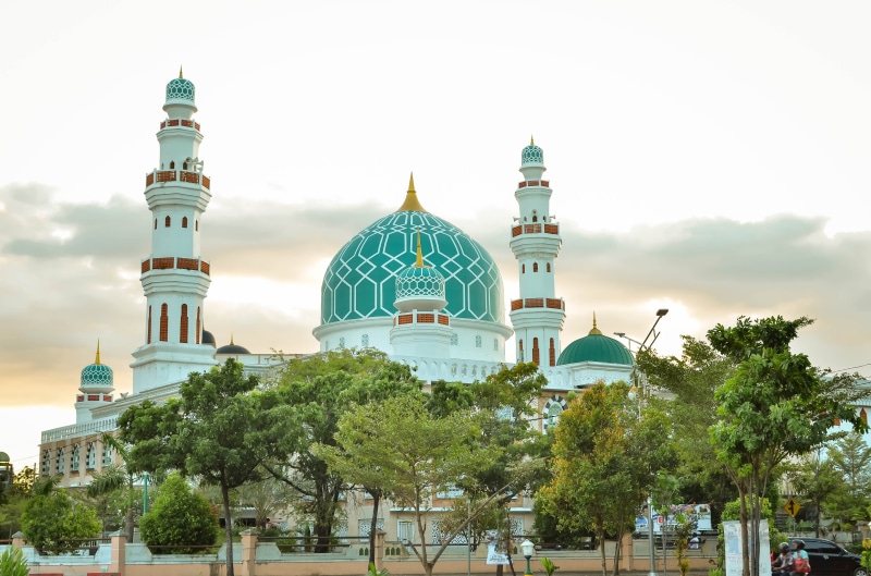 tourism, mosque, spire, travel, nature, sky, arabic, building exterior, outdoors, tower, india, silhouette, turkish, belief, plant, minaret, muslim, travel destinations