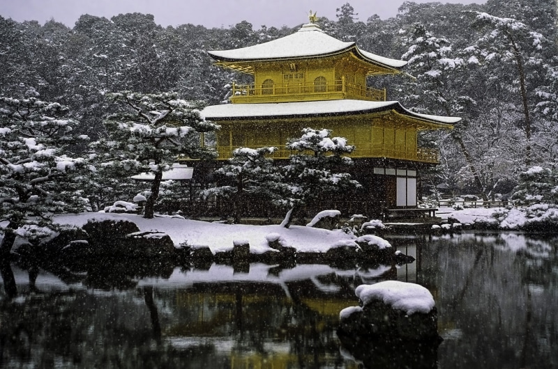 place of worship, far eastern, kyoto, 2K, ji in, no people, china - East Asia, nature, building, chinese Culture, Japan, tree, spirituality, history, architecture