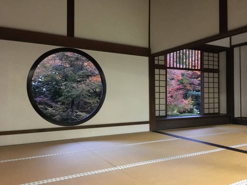 japan culture, shape, history, tatami mats, nature, japan house, tree, wooden, reflection, home, ceiling, houses, day, kyoto, plant, flowering plant, garden